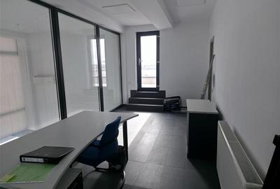 Inchiriere depozit/hala/spatiu industrial Chitila - Centura - soseaua Rudeni, IL - 20