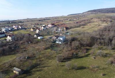 Teren 20.146 mp Dâmbu Rotund (Lomb).Extravilan.Potențial rezidențial - 3