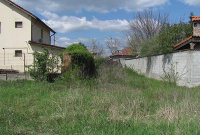 Cornetu - Lalelelor, Stradal - 9