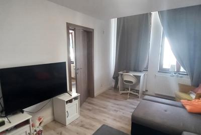 Apartament 2 camere Calea Calarasilor cu gradina - 16