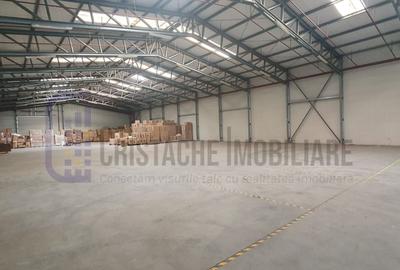 Spațiu industrial, în Ștefăneștii de Jos