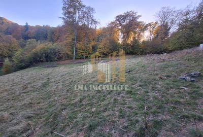 Teren intravilan Brasov Strada Ciresului 2900 mp - 5