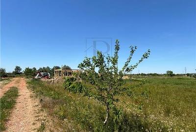 Teren Construcții intravilan de 610 mp, în Moșnița Nouă