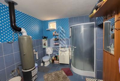Casa individuala cu 6 camere,2 bai,teren de 1017 mp Pischia Central - 17