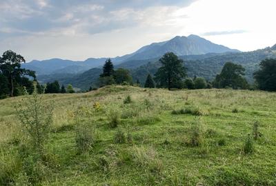 Teren intravilan dezvoltare turistica Hoteluri/Pensiuni S+P+2E+M - 8