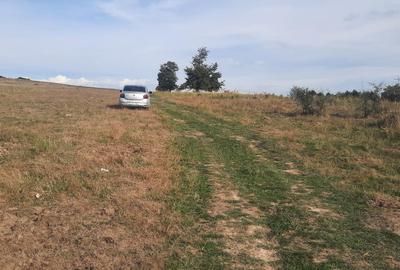 FARA COMISIOANE TEREN parcelabil 10756mp linga padure Comuna Dumbravita Brasov - 6