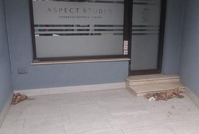 HERASTRAU SOSEAUA NORDULUI  DE VINZARE SPATIU COMERCIAL - 19