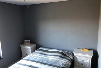 Casa moderna in mijlocul naturii cu lac, Cheisoara - 5