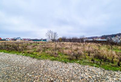 Teren intravilan Smeura Arges - 1