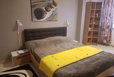 Apartament doua camere, decomandat, mobilat si utilat frumos, Parcul Catedralei - 8