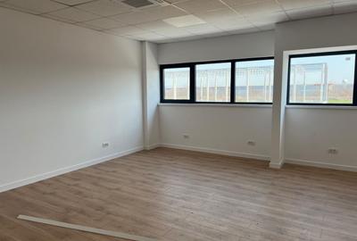 Hala de inchiriat depozitare si productie 1550 mp. Mogosoaia - Buftea - 8