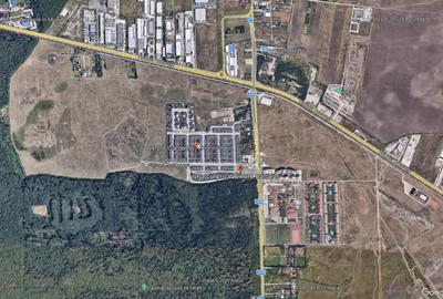 Teren 51800mp Liziera Padurii Baneasa | Pipera - 1
