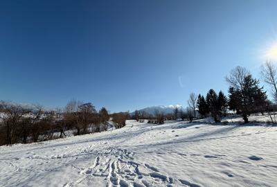 Teren intravilan intre 500 si 1000 mp   in zona Bran - 12