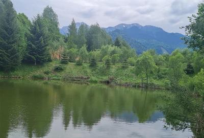 Refugiu idilic cu oglinda de apa, panorama montana, Glajerie/Rasnov, ideal mini - 20
