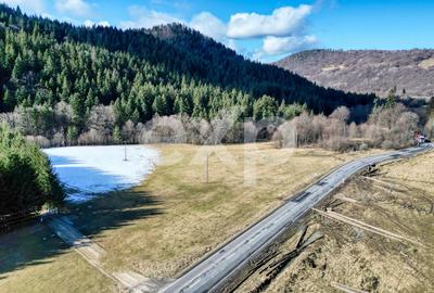Teren extravilan 19.200 mp – DN1A Săcele, Brădet | Front stradal 130 ml - 10