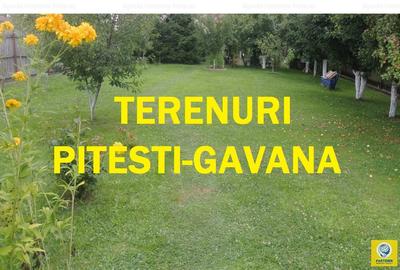 Terenuri Gavana, diverse suprafete - 1