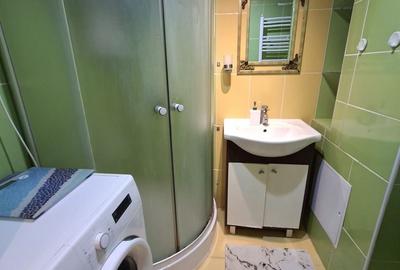 Apartament 2 camere Calea Sagului - 11
