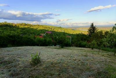 Teren intravilan de 1765 mp, în Podgoria