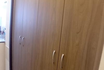 Apartament 2 Camere,Piata Victoriei,Amenajat,mobilat,utilat,complet - 17
