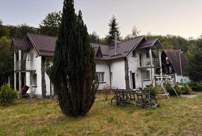 Oportunitate de investitie Cabana Cartisoara Zona Turistica - 44