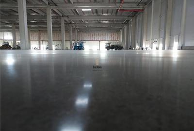 Spatiu Industrial - 4000 mp - Logistica - Productie - Depozitare - Distributie - 5