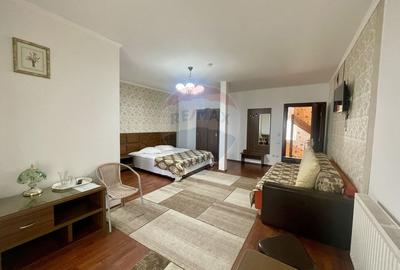 Hotel / Pensiune de vanzare în Ranca - 9
