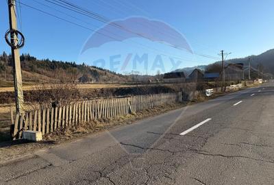Teren de vanzare  Vatra Moldovitei BUCOVINA - 20
