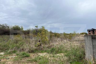 Teren 3400 mp, zona Carcea la E70/str Craiovei - 1