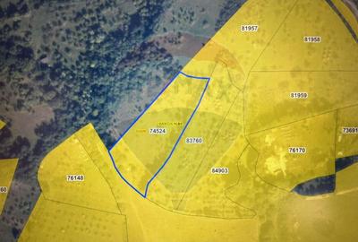 Teren extravilan 6.322 mp, împrejmuit, aproape de stadion Cugir, jud. - 7