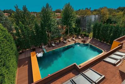 Vila grandioasa, Gradina Japoneza, SPA, Crama, Teren Tenis, Foisor, Iaz Pesti - 3