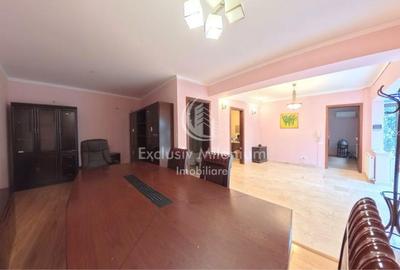 Vila - Casa Birouri 11 Iunie - Unirii - 3