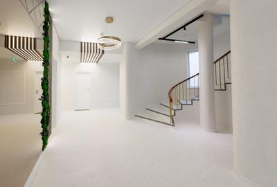 Centru Medical Ropharma , spatii de inchiriat | 57 - 500 mp - Zona Centrala - 2