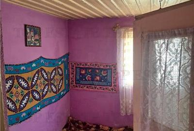 Casa cu teren 3579mp in com. Cascioarele, Jud. Giurgiu - 11