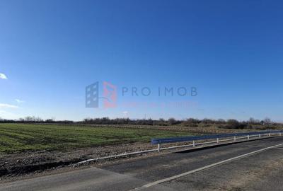 Teren Construcții intravilan de 2461 mp, în Vadu Pașii