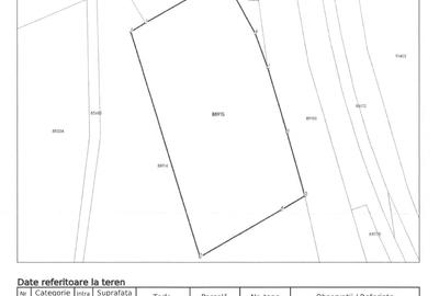 Teren intravilan pentru afacere/constructii, Merisani stradal la DN 7C - 1