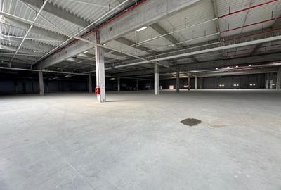 Hală industrială de închiriat Arad ZI West Vecinatate A1, acces TIR - 3