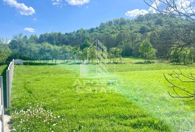 Teren intravilan, partial imprejmuit - Pojoga, com. Zam - 1