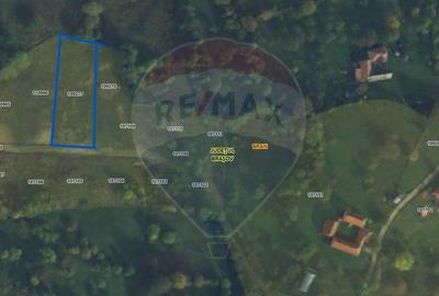 Teren intravilan 1900 mp| Sohodol | Priveliște superbă - 4