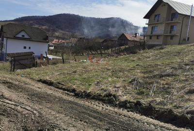 Teren intravilan , cu proiect pentru casa in Dej - 12