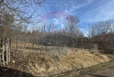 Teren intravilan 1.271 mp – Izvoarele, jud. Alba - 15