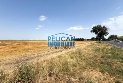 Teren intravilan M. Kogalniceanu, 4000MP, la drumul national - 7