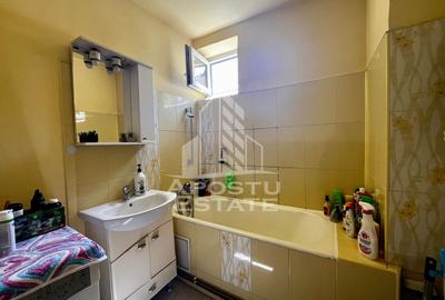 Apartament 4 camere de vanzare, zona Take Ionescu, Timisoara - 19