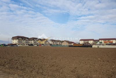 Oportunitate INVESTITIE Teren 40.100 mp Sanpetru - 1