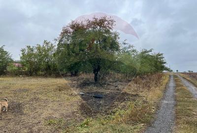 Teren Construcții intravilan de 1700 mp, în Polcești