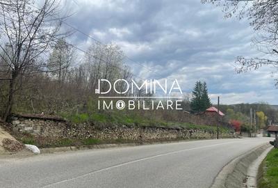 Vanzare teren intravilan - Runcu - oportunitate intr-o zona turistica deosebita - 3