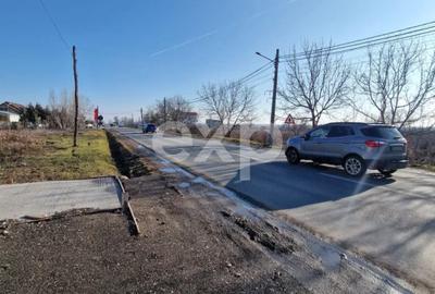 HALĂ INDUSTRIALĂ DE ÎNCHIRIAT – ANINOASA, DÂMBOVIȚA - 5