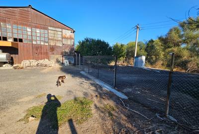 Oportunitate Teren deschidere la E87 Smardan Tulcea - 3