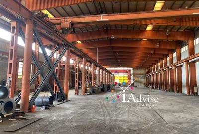 Spatiu industrial/ Hala de productie 3500 mp - Pod rulant - 1