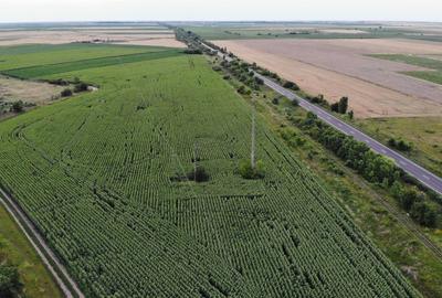Vand Teren Extravilan Becicherecu Mic(zona industriala) 18.000mp,Utilitati - 2