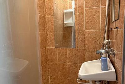 COPOU, UNIVERSITATEA CUZA, APARTAMENT CU 1 CAMERA DE INCHIRIAT - 7